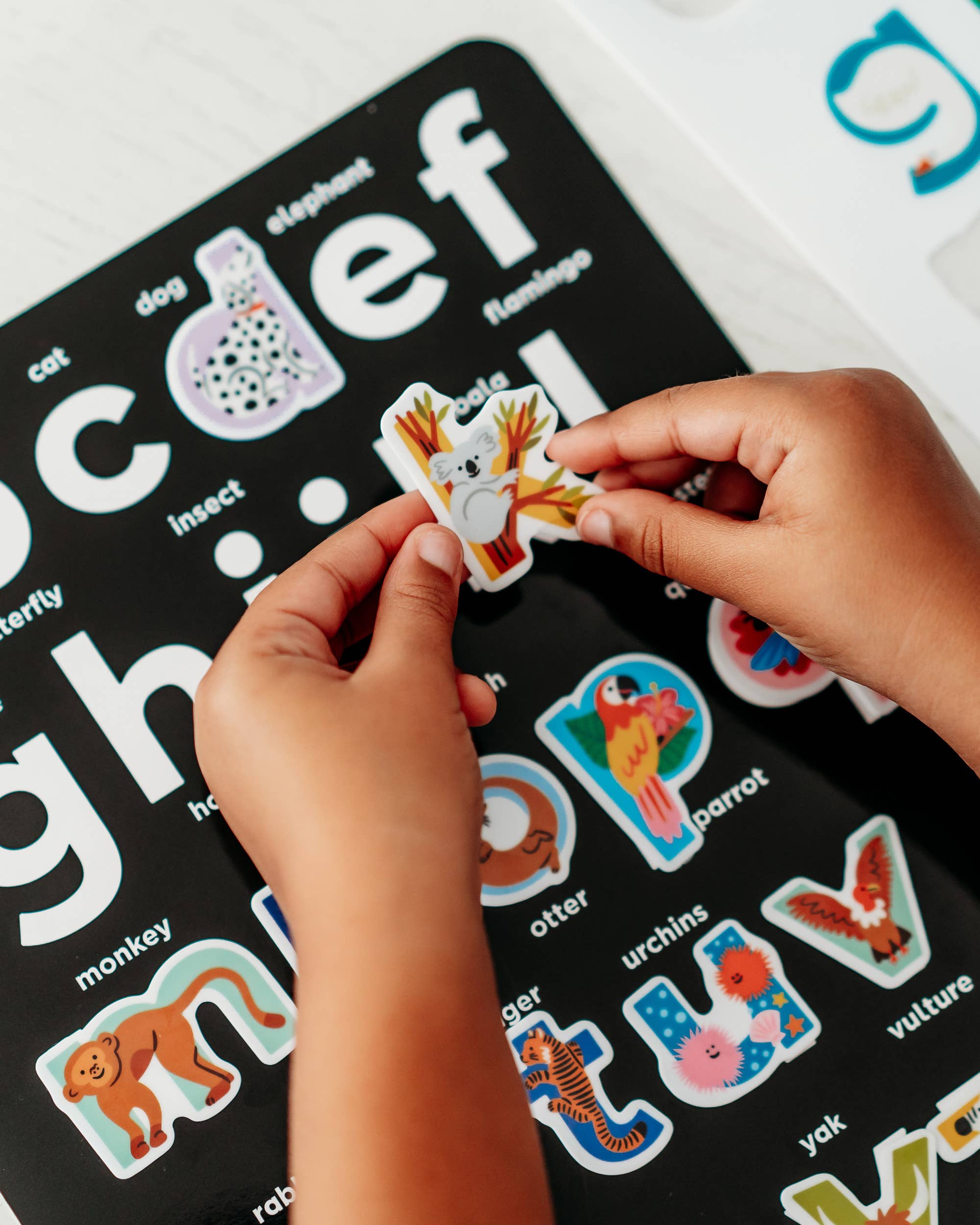 The Type Set Co. – Großhandel Spielzeugset – Kinder – Tiere von A bis Z Wiederverwendbare Alphabet-Aufkleber3