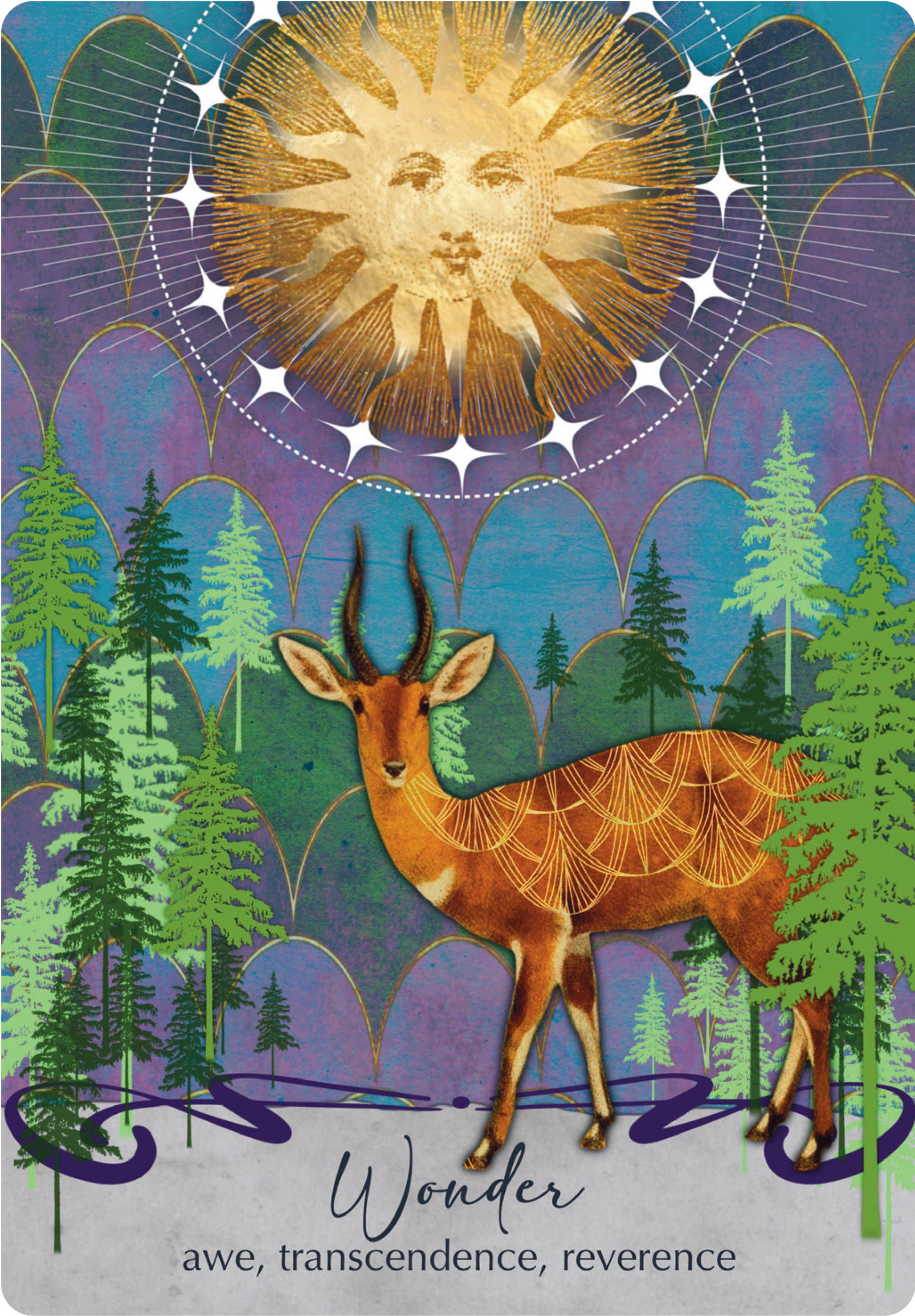 Red Wheel/Weiser LLC - Wholesale Tarot Cards - The Oracle of Awakening: 44 Cards & 112 Pg. Book12