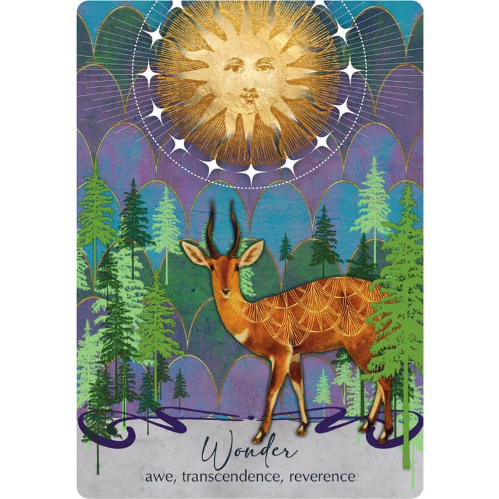 Red Wheel/Weiser LLC - Wholesale Tarot Cards - The Oracle of Awakening: 44 Cards & 112 Pg. Book12