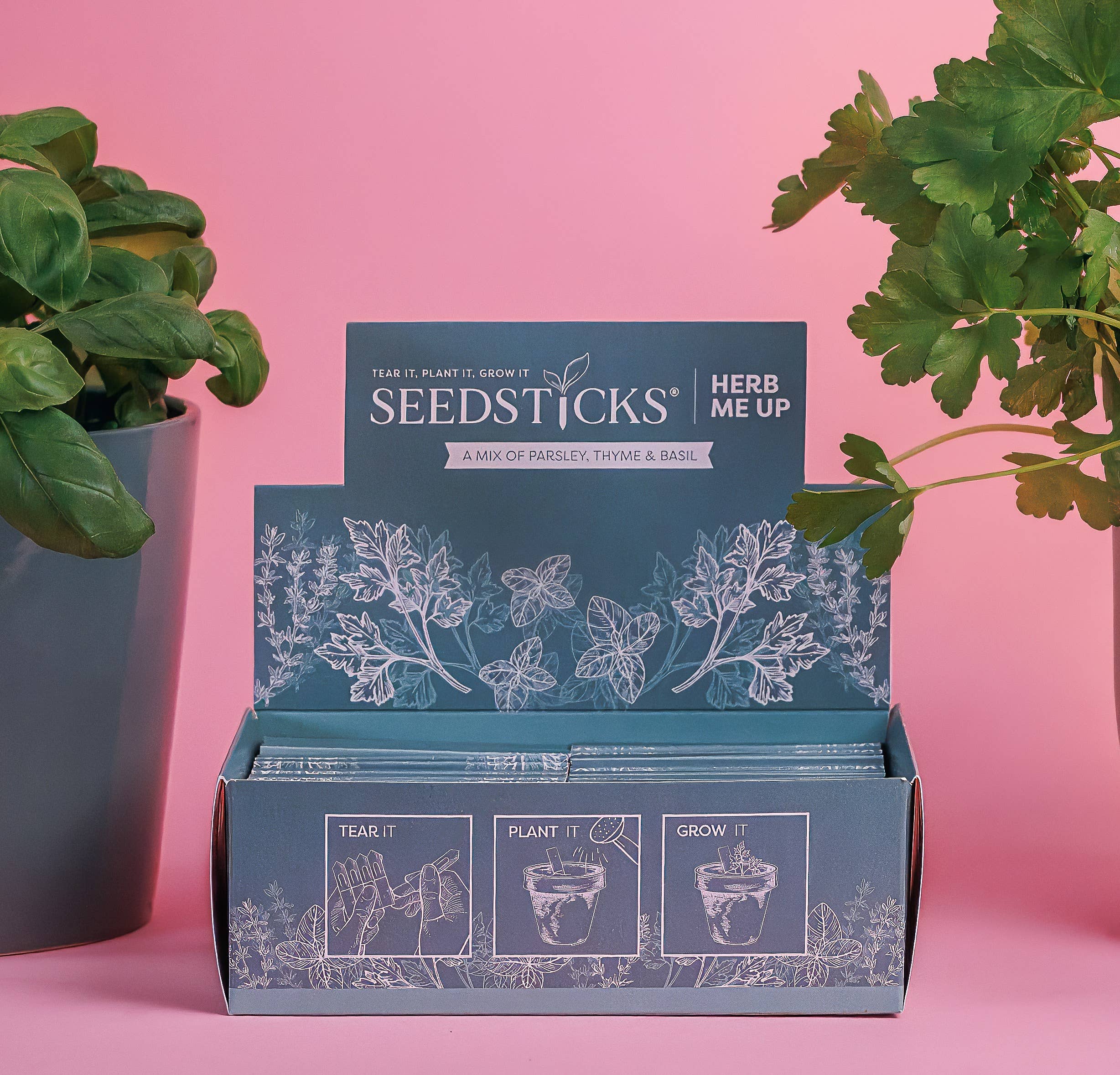 Seedsticks® – wholesale Plant seeds – Herb me up - Display Boxes6
