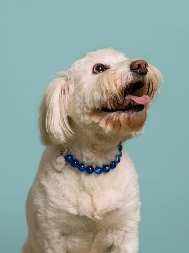 EINREIHIGE GROSSE PERLENKETTE für den Großhandel von BAND OF HEARTBREAKERS