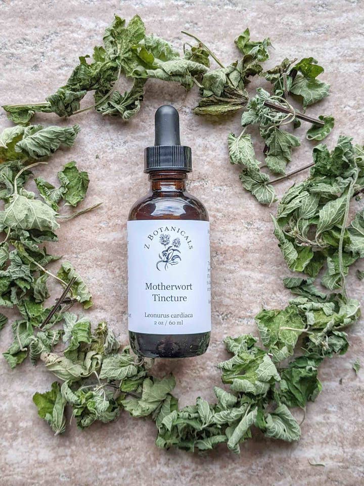 Motherwort Tincture for wholesale by Z Botanicals & Hemp Co.