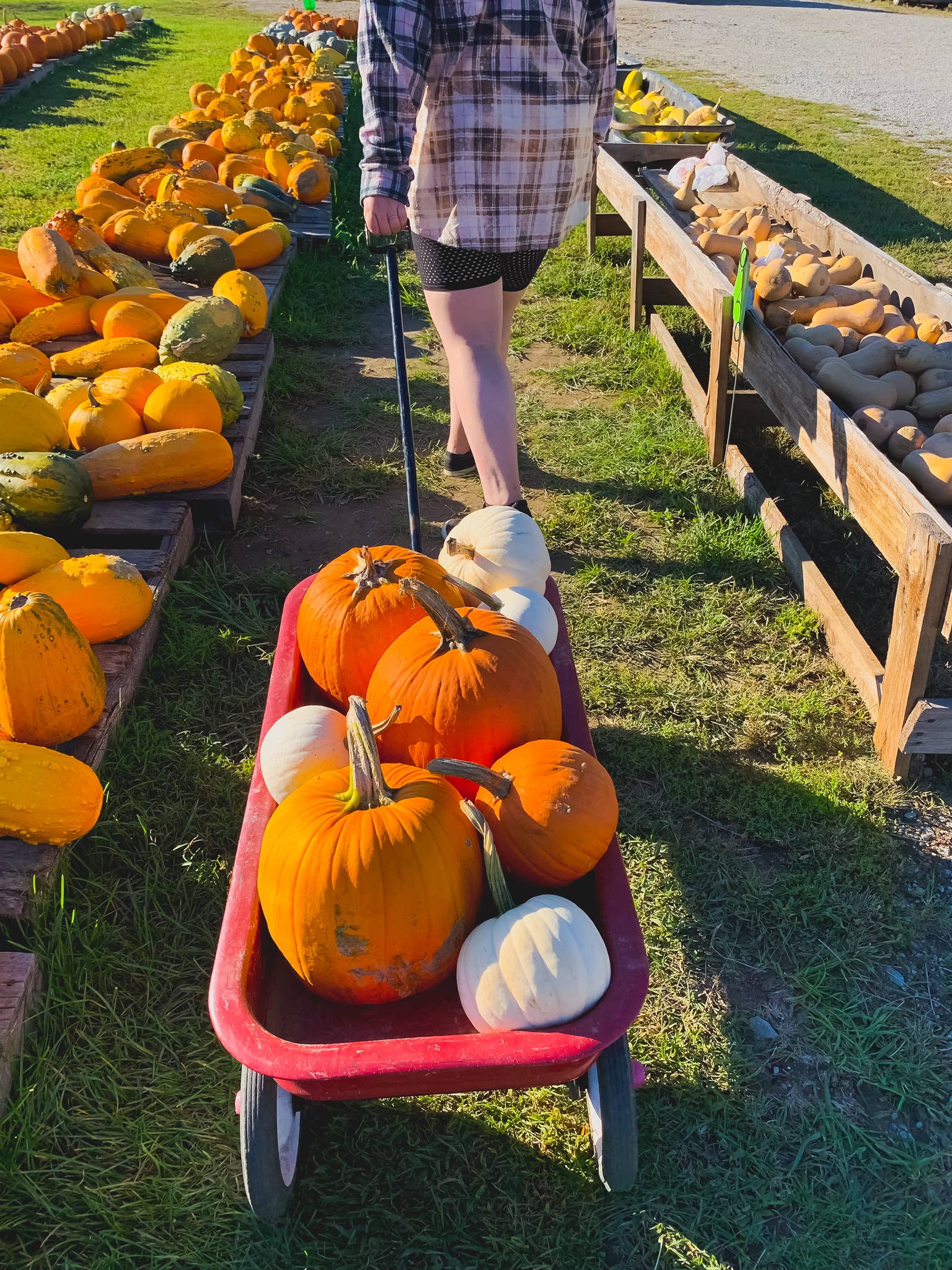 MM Custom Apparel - Wholesale Button Down Shirt - Women's - BLEACHED FLANNEL PLUS SIZE(1x/2x some 3x) UPCYCLED3