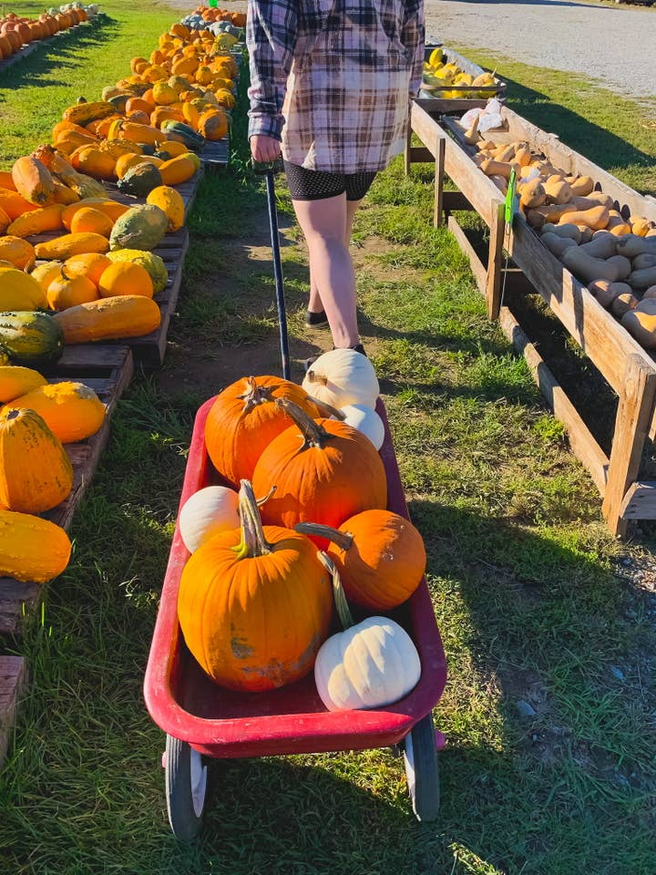 MM Custom Apparel - Wholesale Button Down Shirt - Women's - BLEACHED FLANNEL PLUS SIZE(1x/2x some 3x) UPCYCLED3