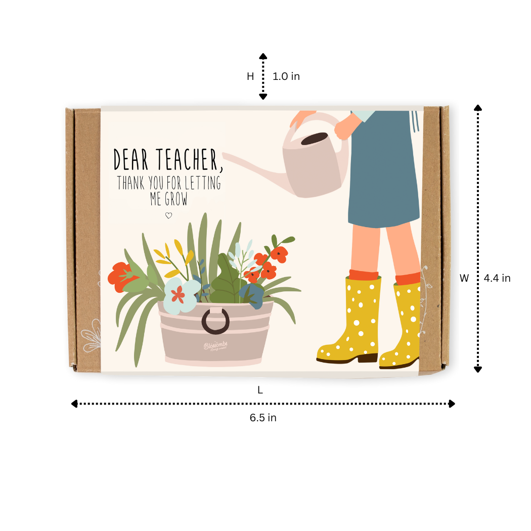 Buzzy Seeds Grow Gifts - Wholesale Plant Seeds - Small “Dear Teacher” Seed Bomb Box – 7 Wildflower Gift Balls6