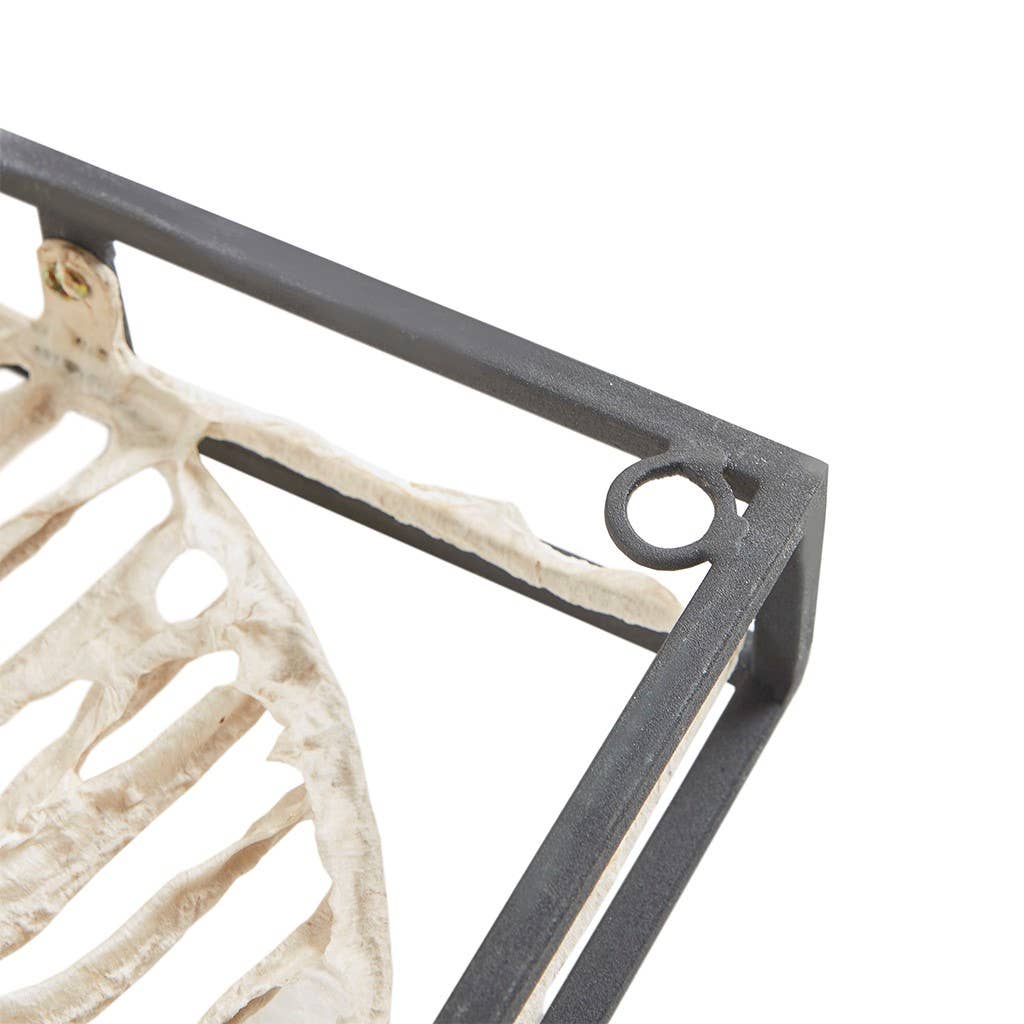 Olliix - Wholesale Wall Accent - Paper Cloaked Botanical Metal Wall Art3