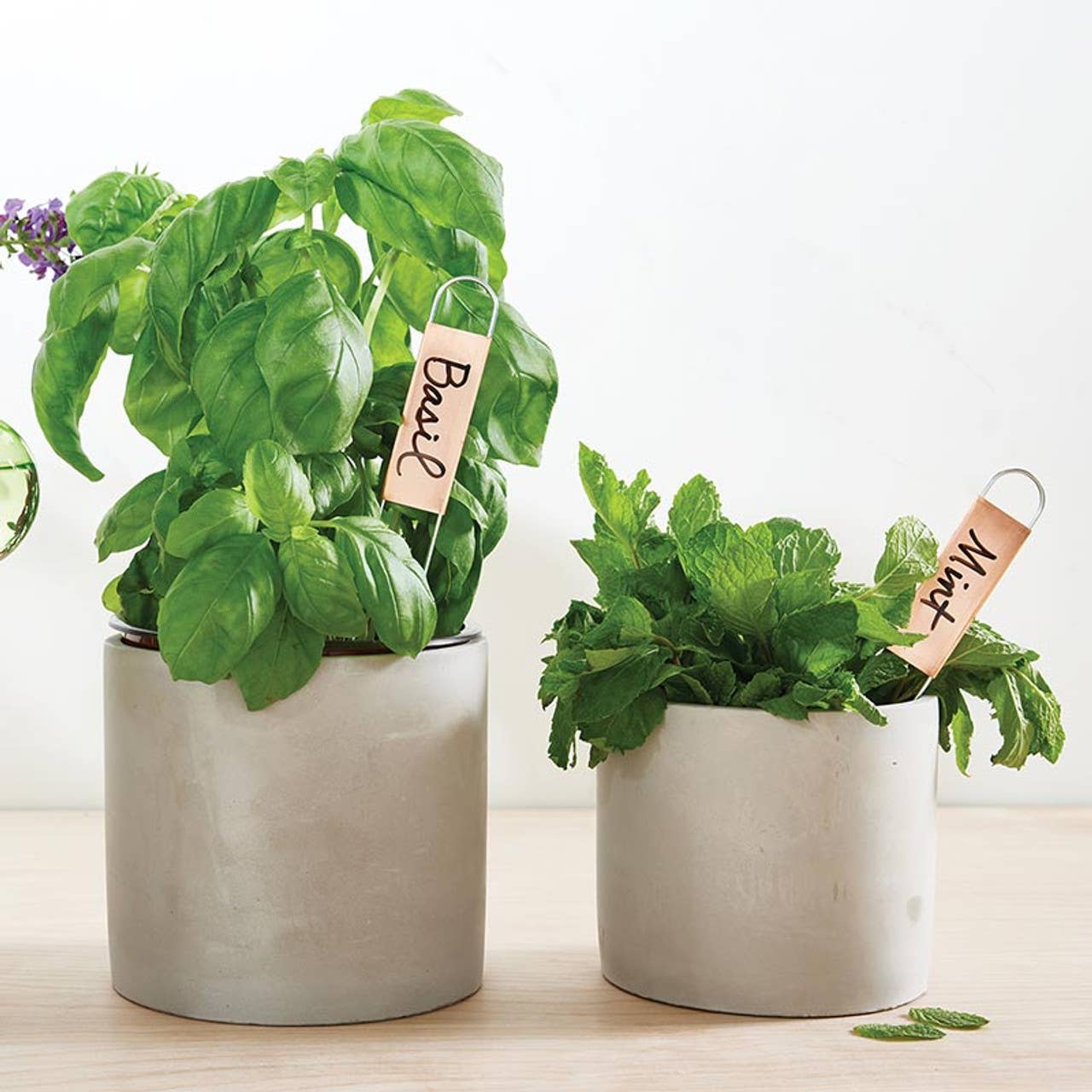 Santa Barbara Design Studio by Creative Brands - Wholesale Garden Tool - Copper Plant Markers - Set of 82