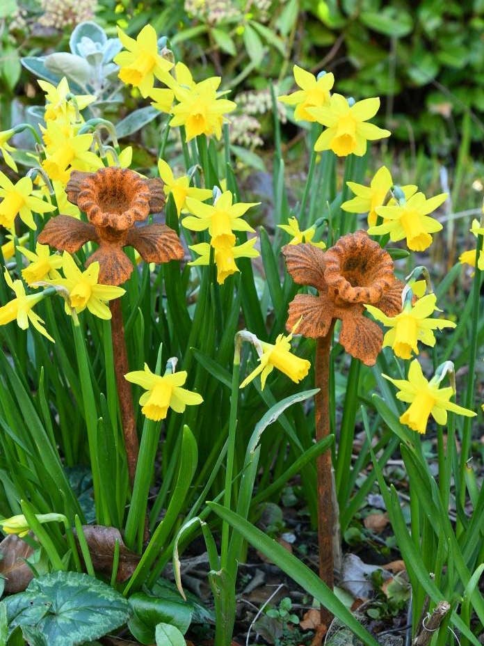 Daffodil Garden Sculpture - Rusty Metal Flower For Garden for wholesale by Savage Works