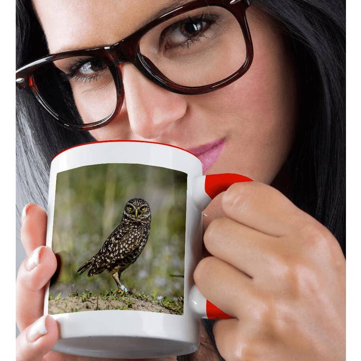 3dRose - Vente Tasse à café - 3dRose, Un hibou fouisseur adulte regarde., Tasse