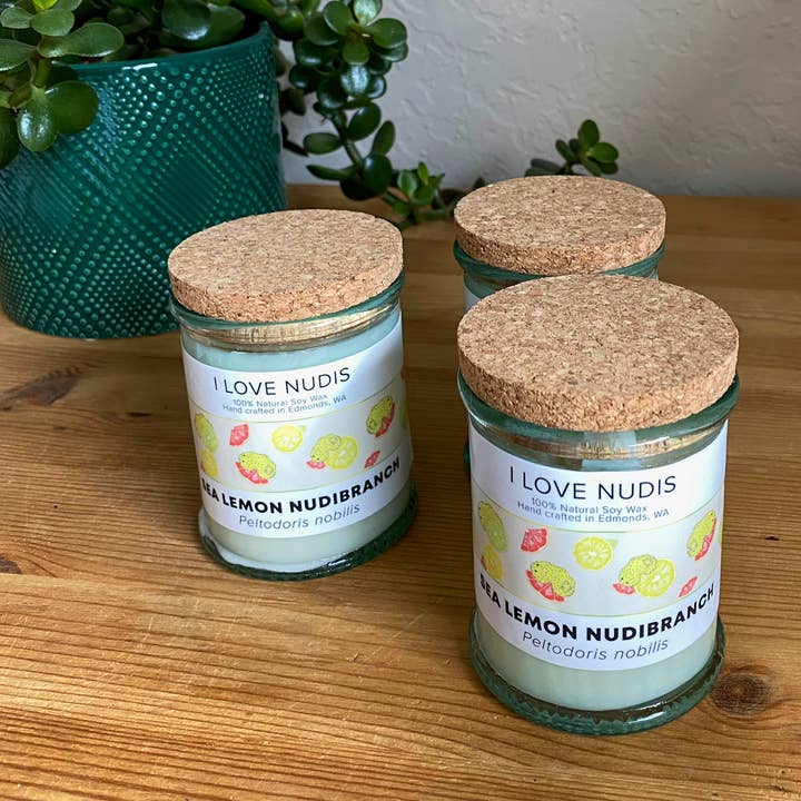 I LOVE NUDIS - Wholesale Jar/Filled Candle - Sea Lemon Nudibranch Candle in Recycled Glass2