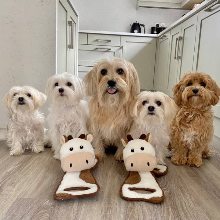 WufWuf - Wholesale Pet squeaky toy – Dog - WufWuf Cow Squeaky Plush Tug Dog Toy4