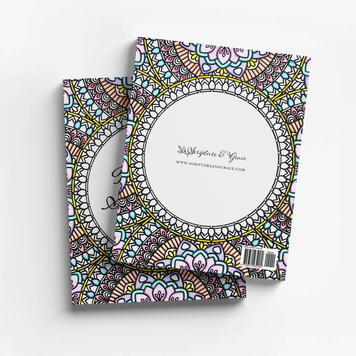 Scripture and Grace - Wholesale Journal/Diary - Chapter by Chapter Bible Study Journal and Coloring Book4