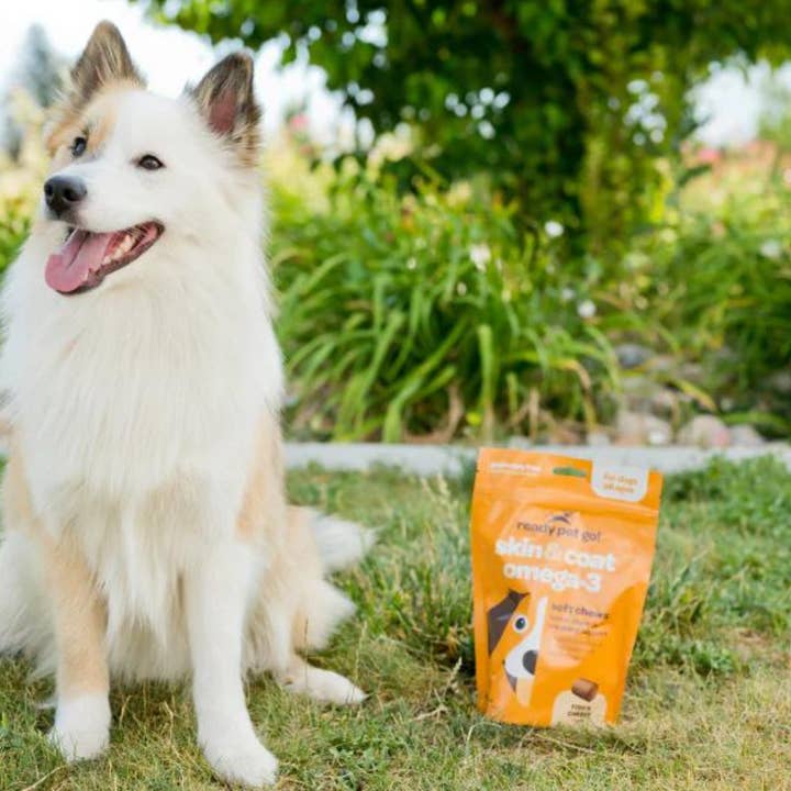 Ready Pet Go - Wholesale Pet Supplement - Dog - Omega 3 Fish Oil Supplement Chews for Dogs - Skin & Coat