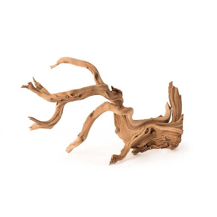 Natural Manzanita Root for wholesale on Faire
