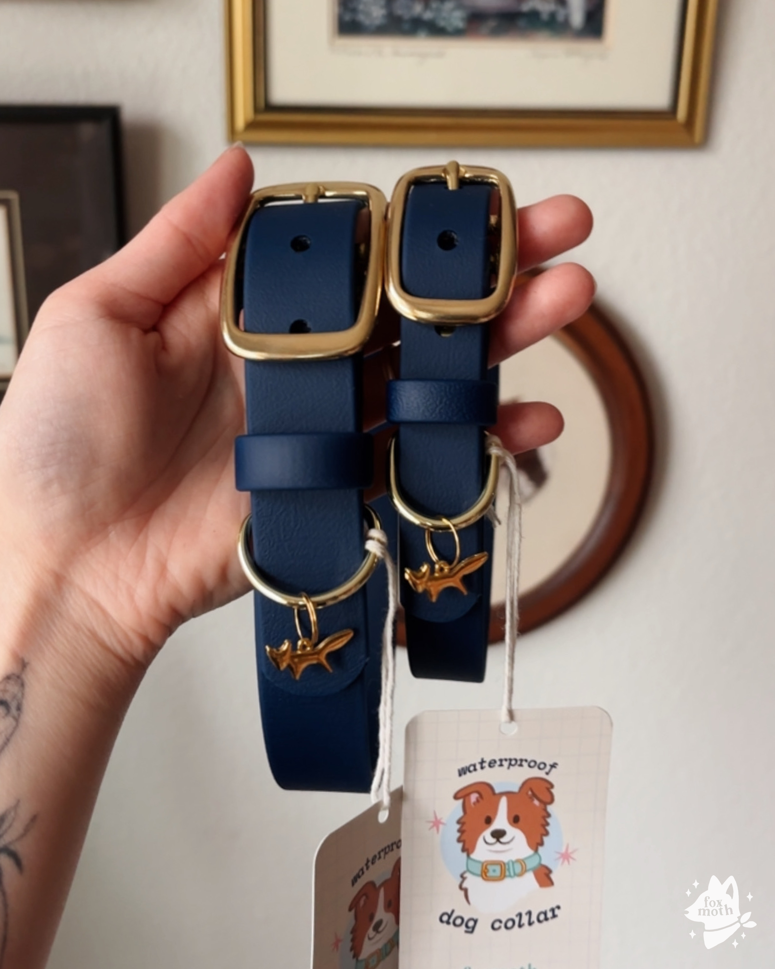 FoxMoth - Wholesale Pet Collar - Dog - Modern Waterproof Biothane Dog Collar [All 17+ Colors]18