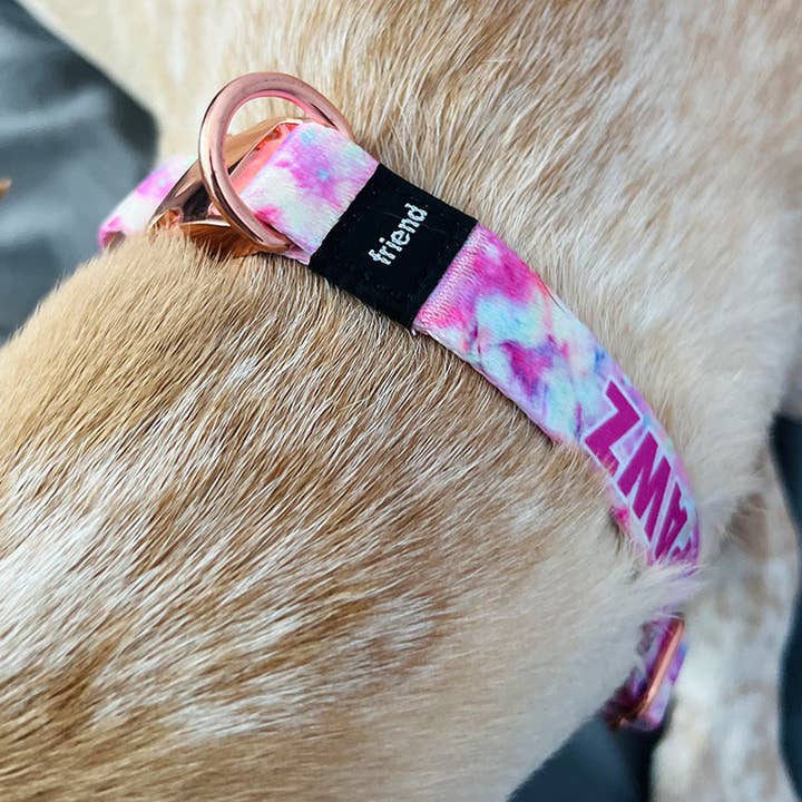 Tie Dye Dog Collar for wholesale by PAWZ