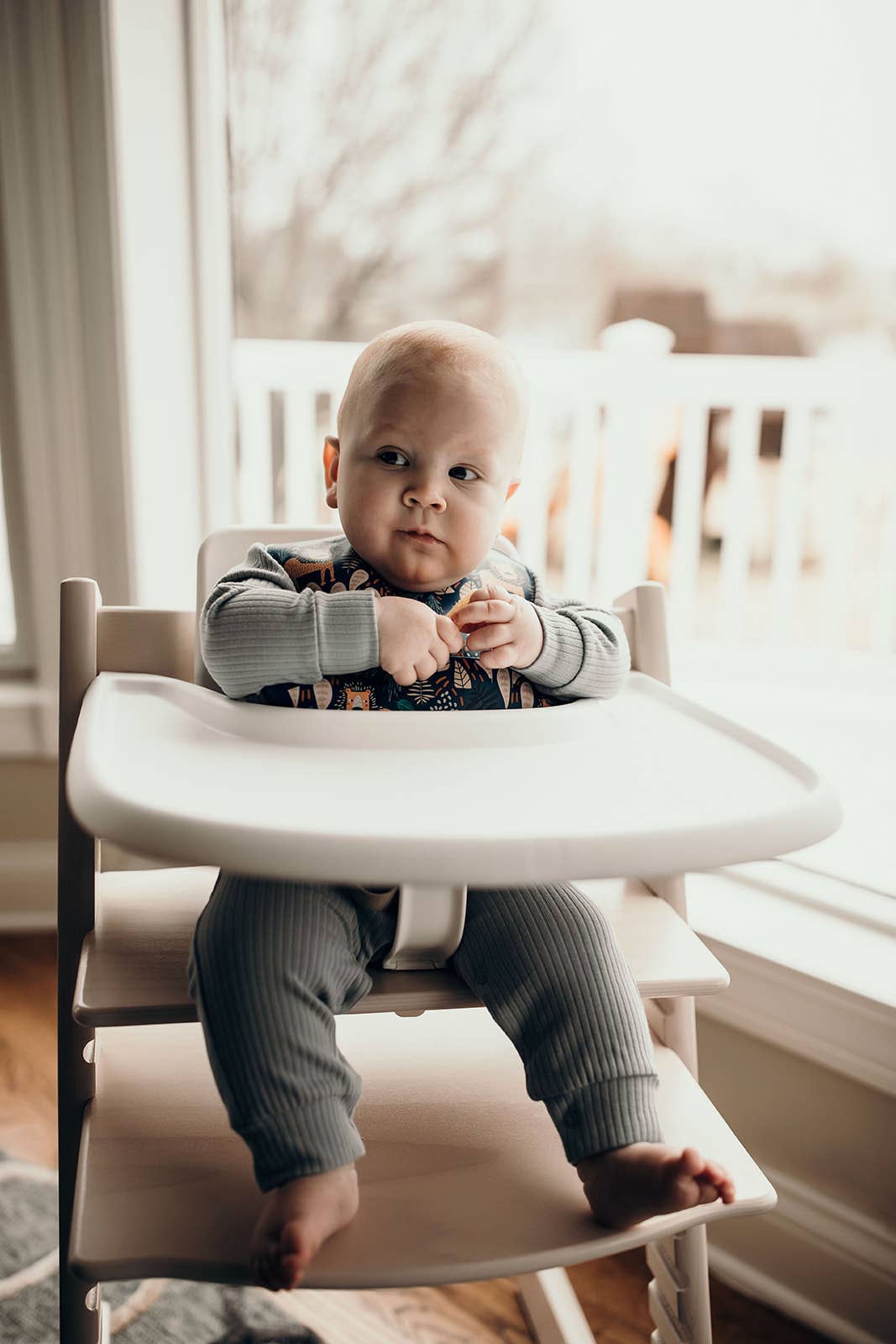 Three Little Tots - Wholesale Bib - Baby - Zoo Lion Print Silicone Bib with Crumb Catcher16