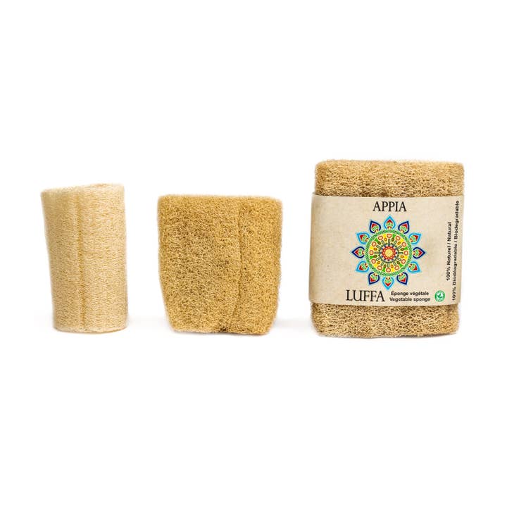 Appia Luffa - Wholesale Loofah - Premium Organic Egyptian Loofah Sponge Large with rope3