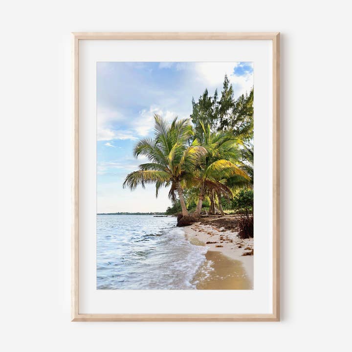 Belize Palm Paradise Print for wholesale by 17 Mile