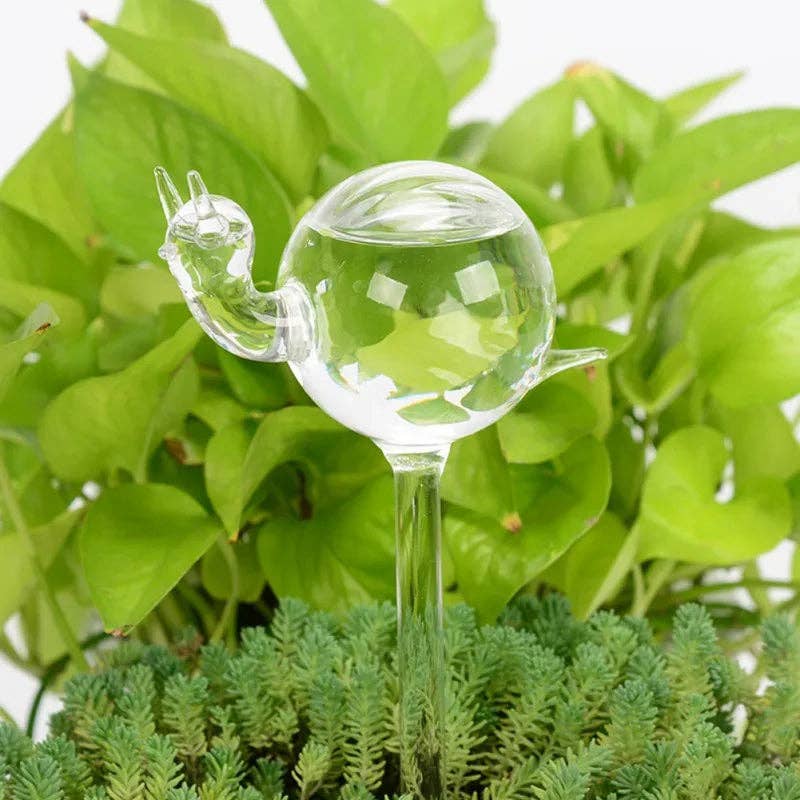 Kiyo Home - Wholesale Plant Pot - Glass Self-Watering Plant Decor | Micro-Drip System Ornament19