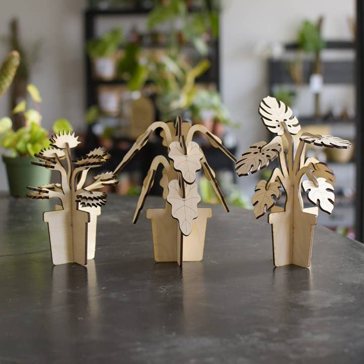 Still Magnolia - Venta al por mayor Kit de manualidades - Construye una planta - Venus Fly Trap