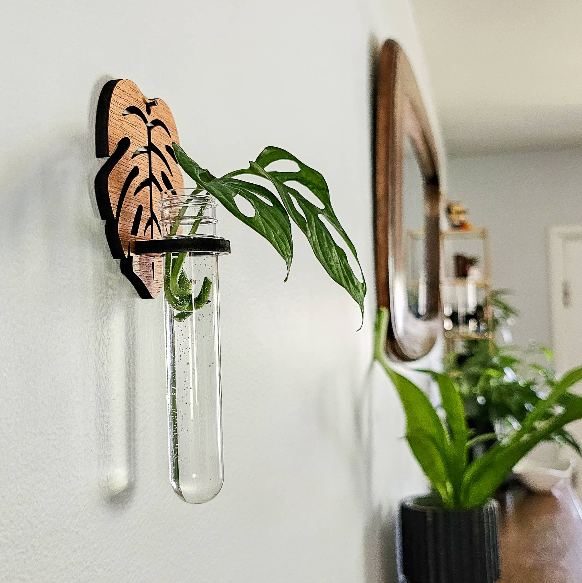 Leaf & Node - Wholesale Hanging Planter - Wall Hanging Propagation Station - Monstera Test Tube Holder5