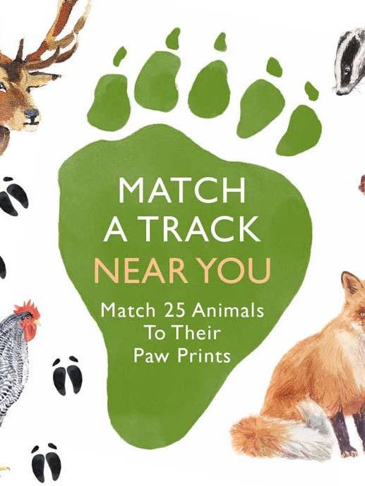Match a Track Near You for wholesale by Chronicle Books