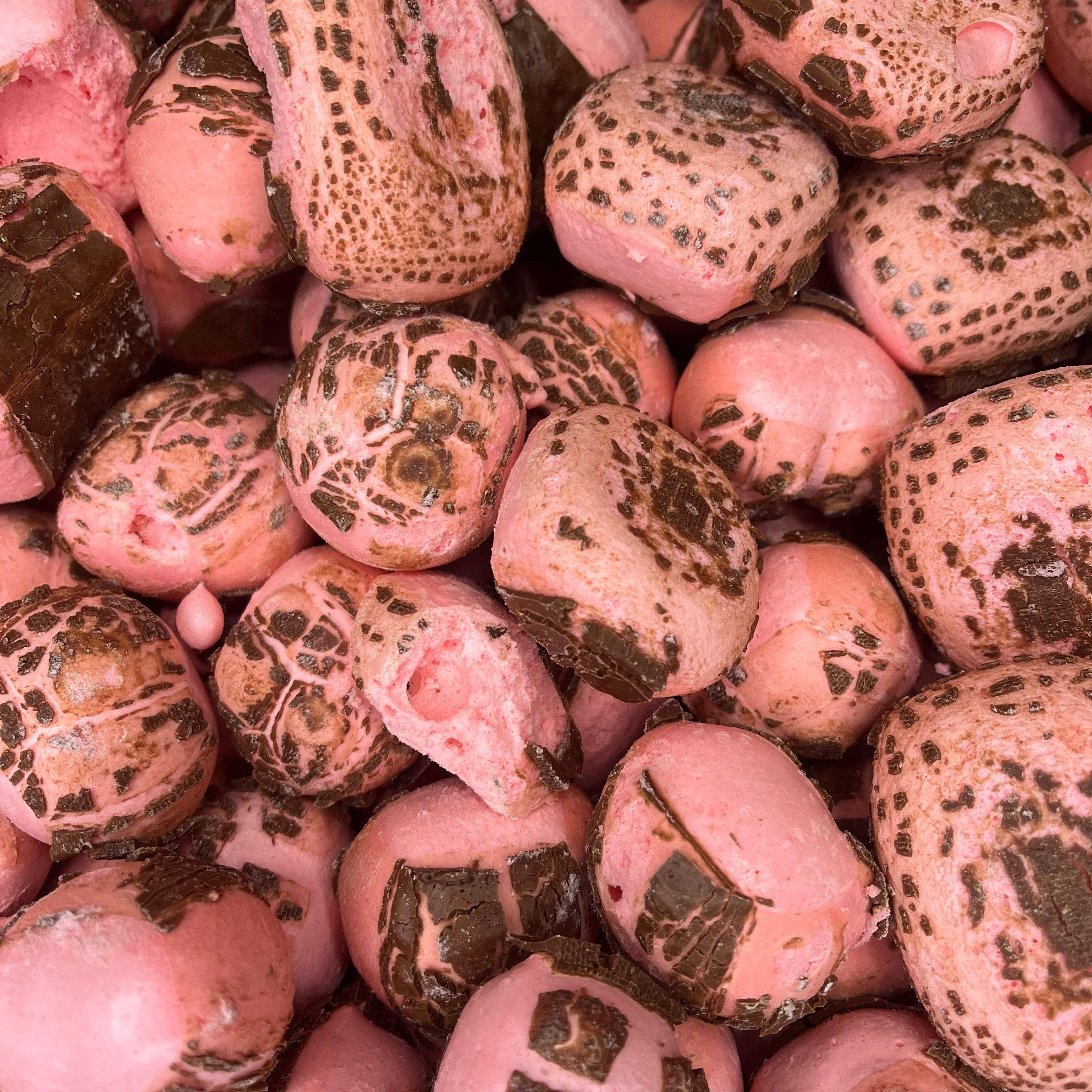 Freeze Dried Sweets - Wholesale Chocolate Covered Sweets - Charleston Chew Strawberry - Imported directly from USA0