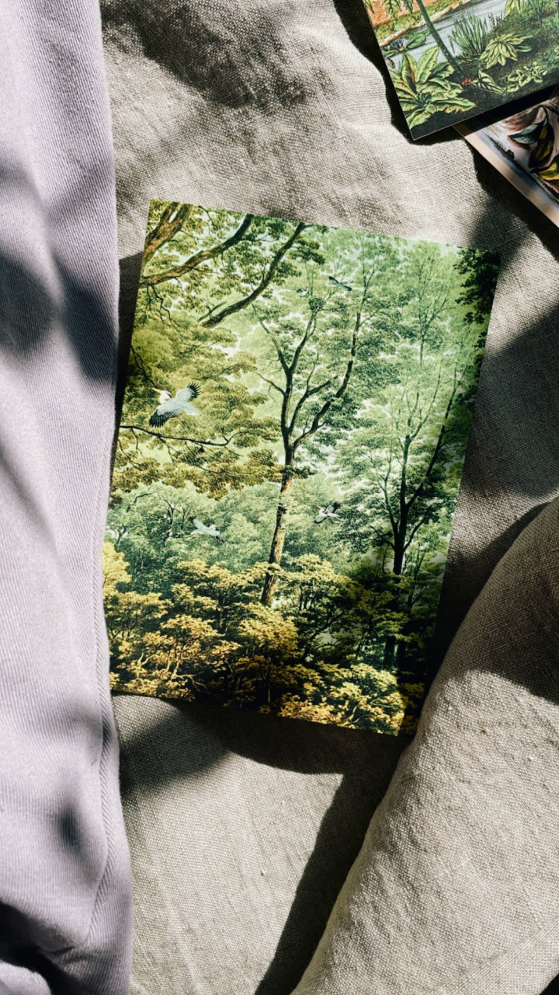 30x40 - Wholesale Postcard - Golden Age Postcard2