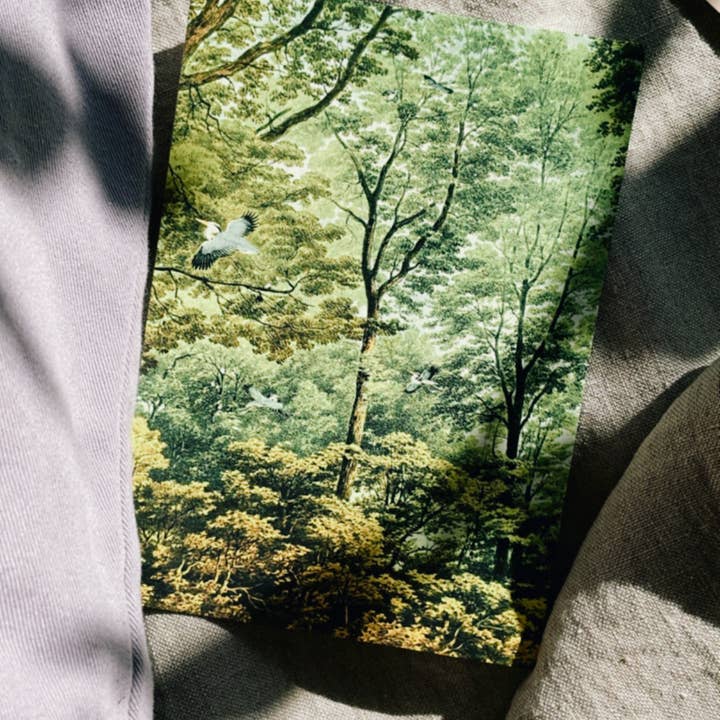 30x40 - Wholesale Postcard - Golden Age Postcard2