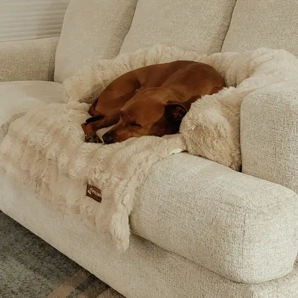 Pelsbarn - Wholesale Pet Bed - Dog - Luxurious Cozy Sofa Bed - Pelsbarn Helps Shelter Dogs!2