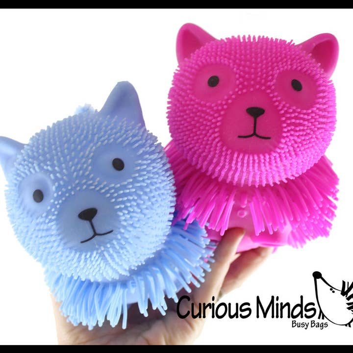 Curious Minds Toys - Wholesale Fidget Toy - Kids - 1 Shaggy Cat Large 7" Puffer Ball - Sensory Therapy Fidget S