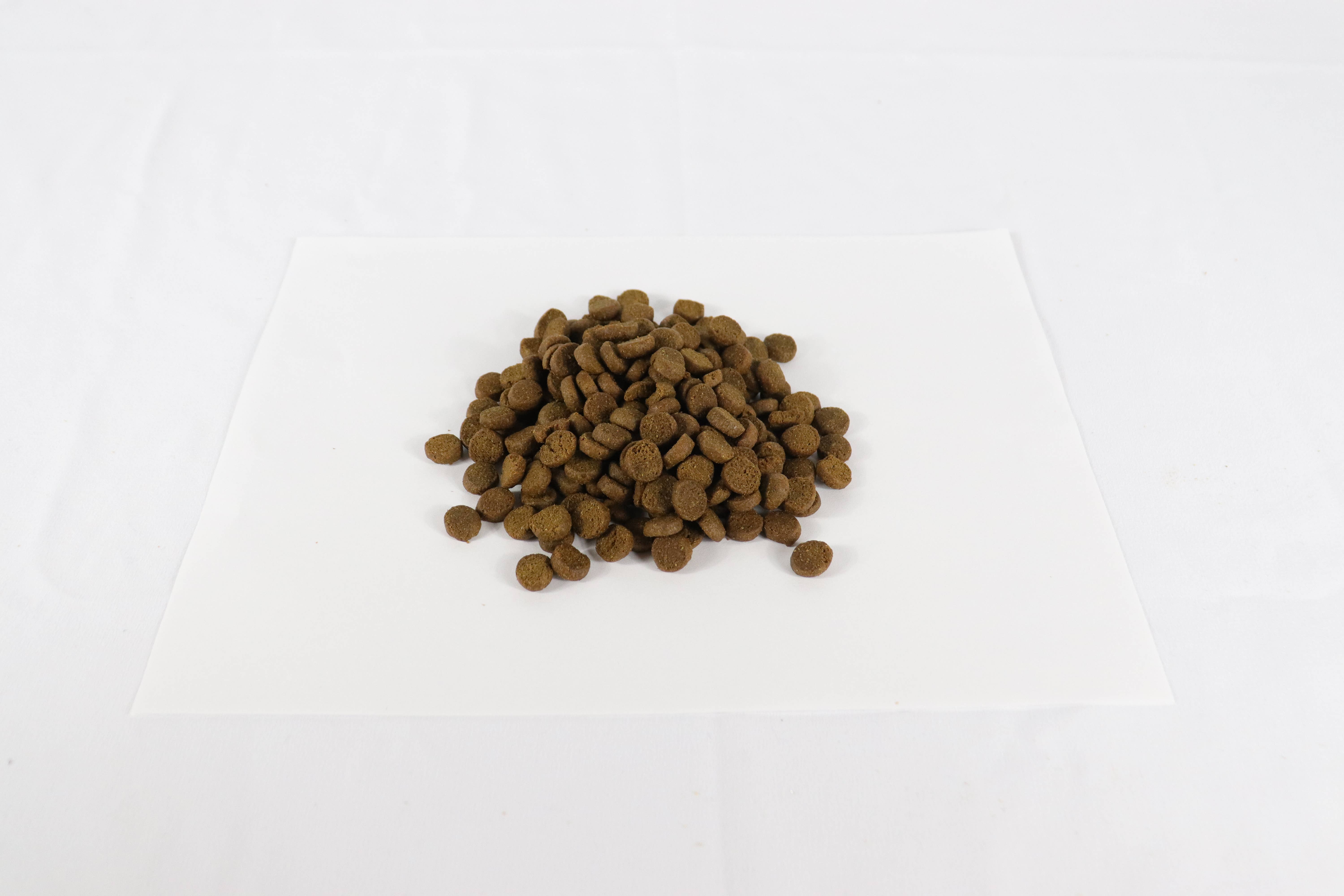 Canine Caviar - Wholesale Pet Food - Dog - Wild Ocean Limited Ingredient Alkaline® Entrée All Life 22lb2