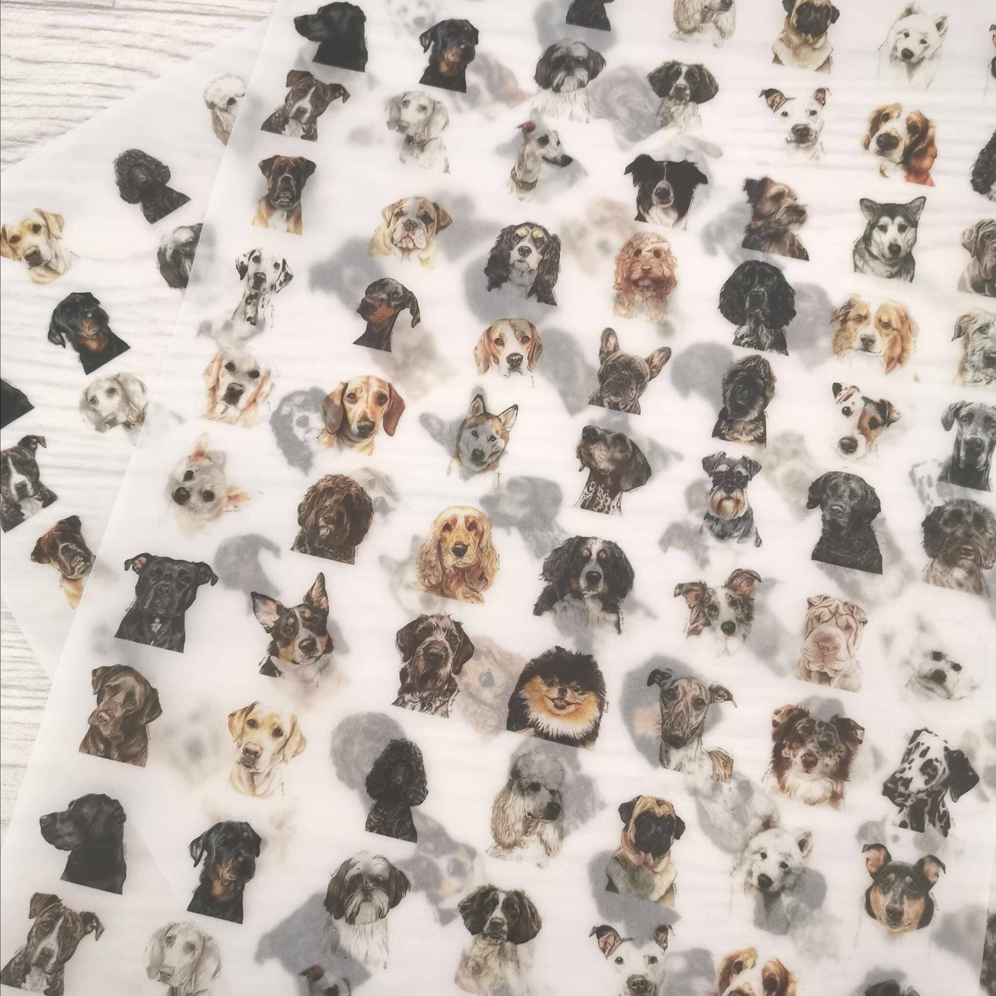 SR Creative Studio - Vente Feuille de papier cadeau - Set de papier d’emballage personnalisé avec logo pour entreprises8