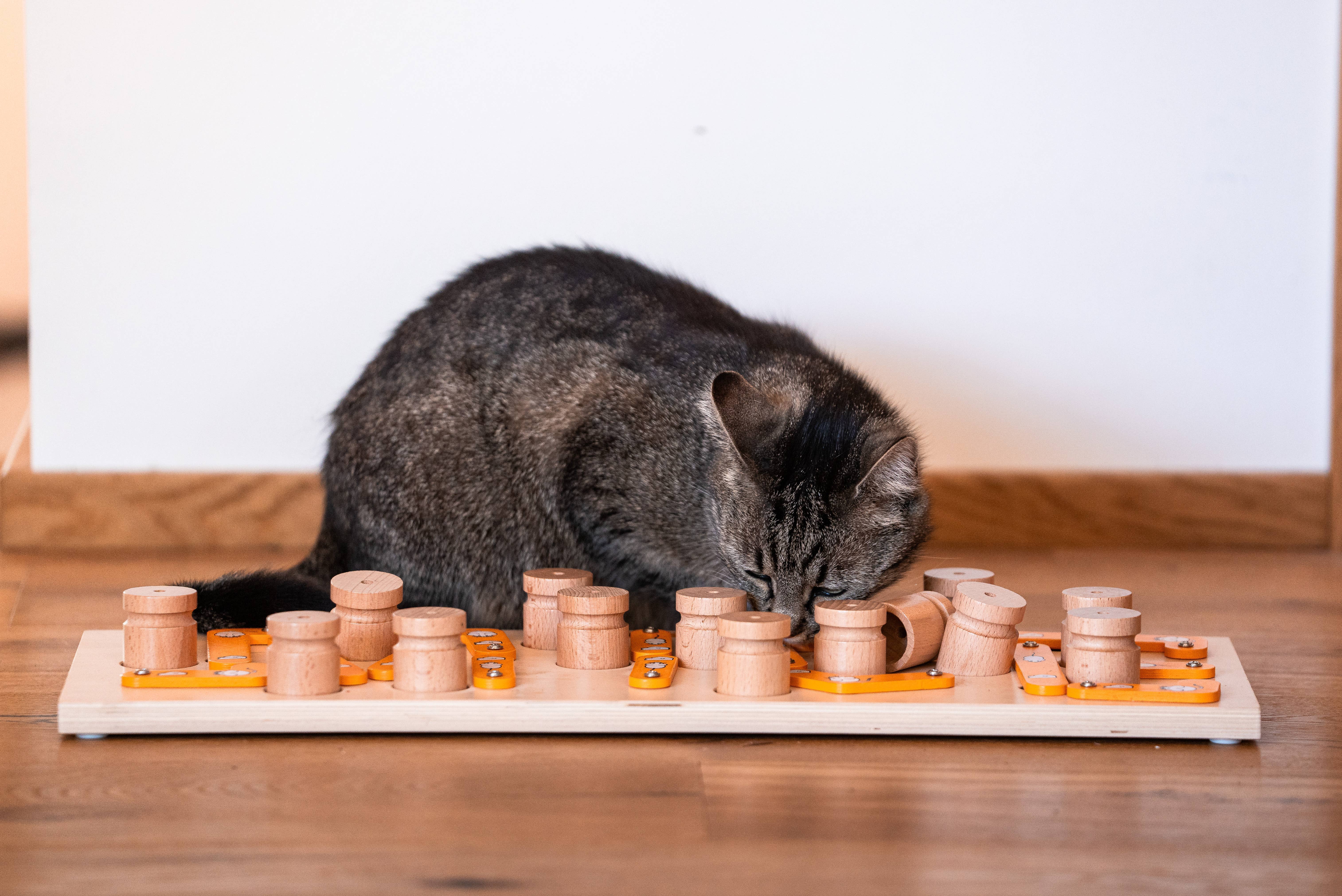 My Intelligent Dogs - Wholesale Pet Toy - Cat/Dog - MICE - intelligent cat and dog puzzle toy1