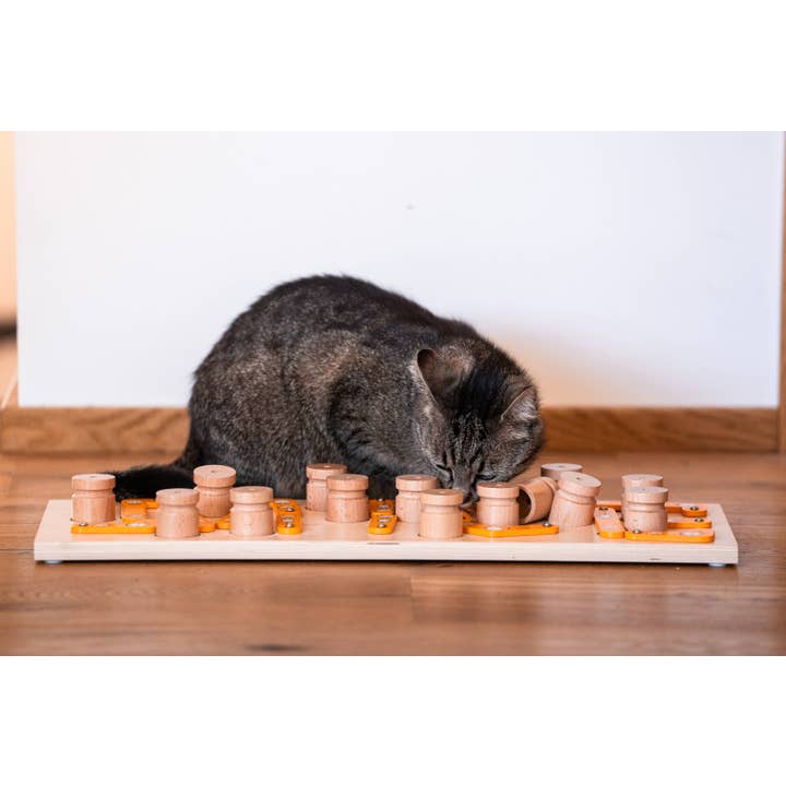 My Intelligent Dogs - Wholesale Pet Toy - Cat/Dog - MICE -ย intelligent cat and dog puzzle toy1