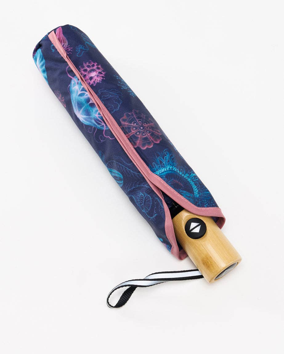 Cognitive Surplus EU - Wholesale Umbrella - Unisex - Haeckel Jellyfish Umbrella (Case of 4)2