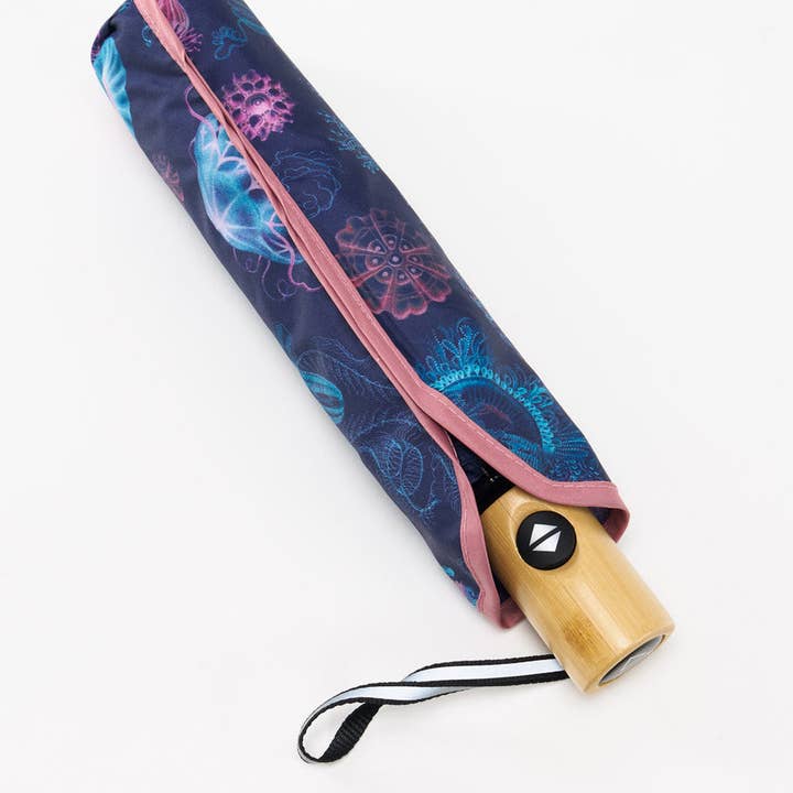 Cognitive Surplus EU - Wholesale Umbrella - Unisex - Haeckel Jellyfish Umbrella (Case of 4)2