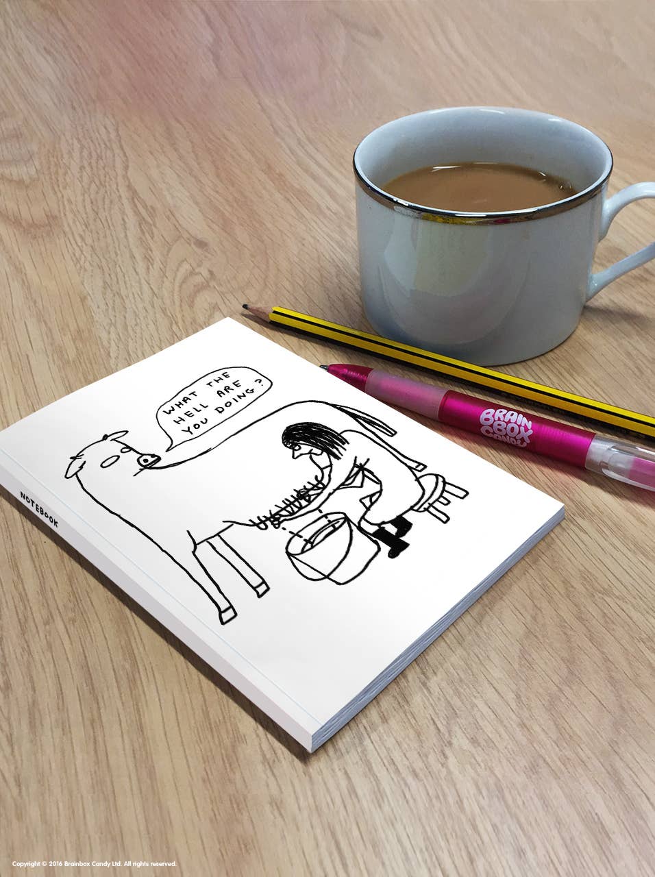 David Shrigley x Brainbox Candy - Wholesale Notebook - Funny Gift - David Shrigley A6 Notebook - What The Hell1
