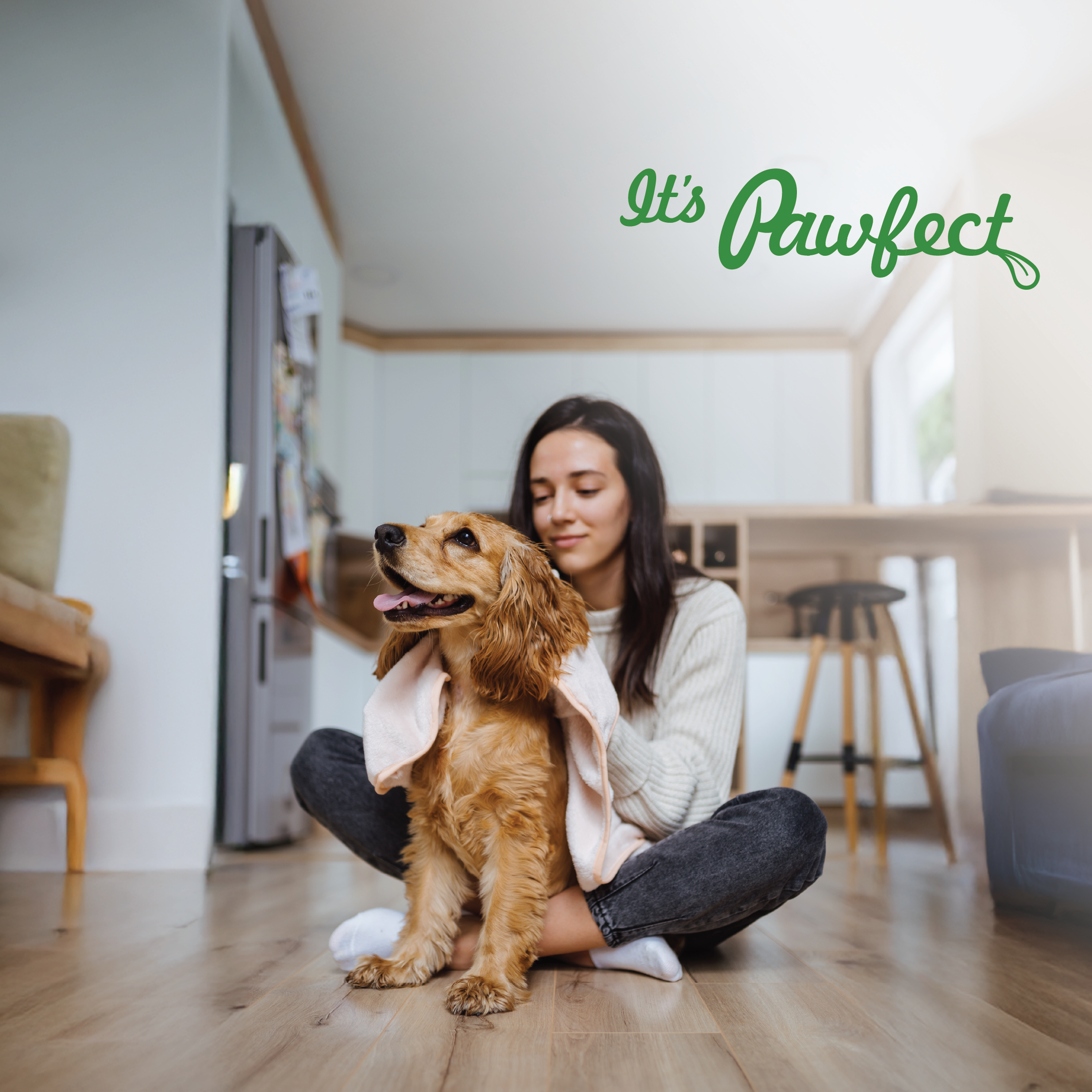 Pawfect Foods - Vendita all'ingrosso Snack - Cani - Pawfect Dentamust Masticabili al Formaggio Himalayano con Mirtillo e Papaya per Cani|Masticabili dentali di lunga durata con Superfood|Tutto Naturale, Alto contenuto proteico|Senza cereali|Confezione da 1 per cani di taglia media (70g/2.47oz)6