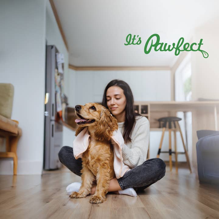 Pawfect Pet Foods Pvt Ltd - USA - Wholesale Pet Treats - Dog - Pawfect Cheese Chews for Dogs | 100% Natural Dental Stick | Long lasting healthy chew | Rich in Protein & Calcium | Grain-free| Daily dental treat| Pack of 1 for Large Dogs (140g/4.94oz) 6