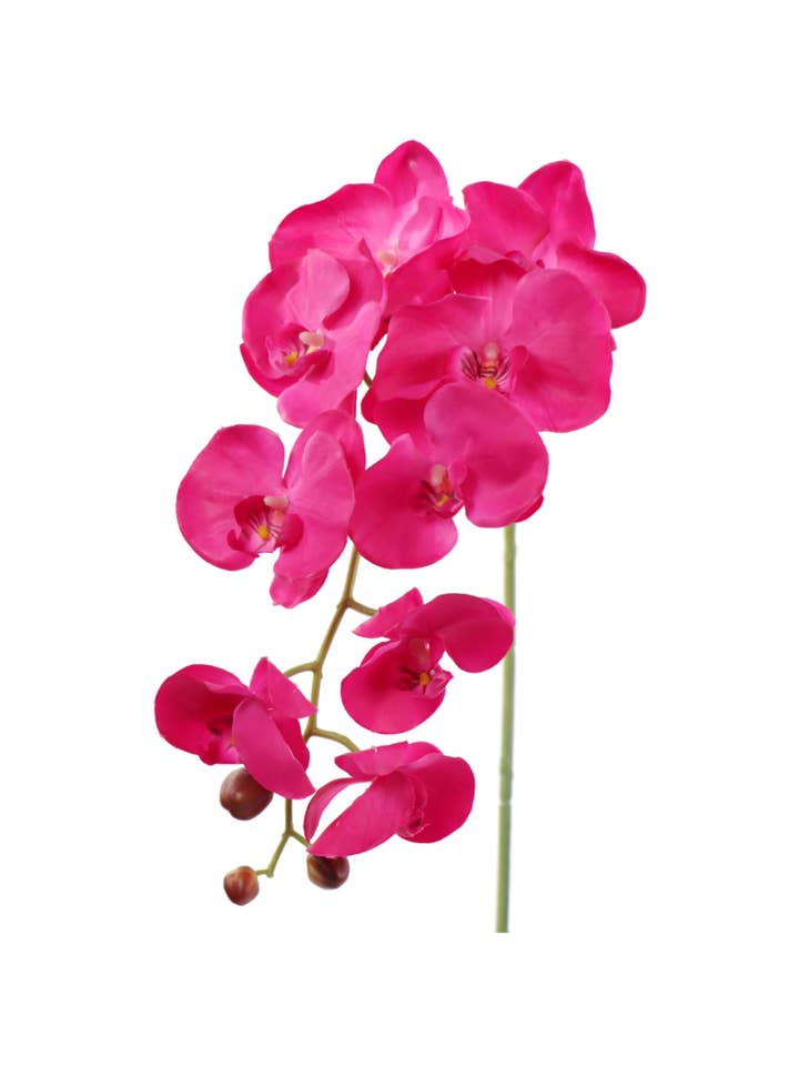 34" Phalaenopsis 9 Flowers, 3 Buds - Fuchsia Faux for wholesale by Larksilk