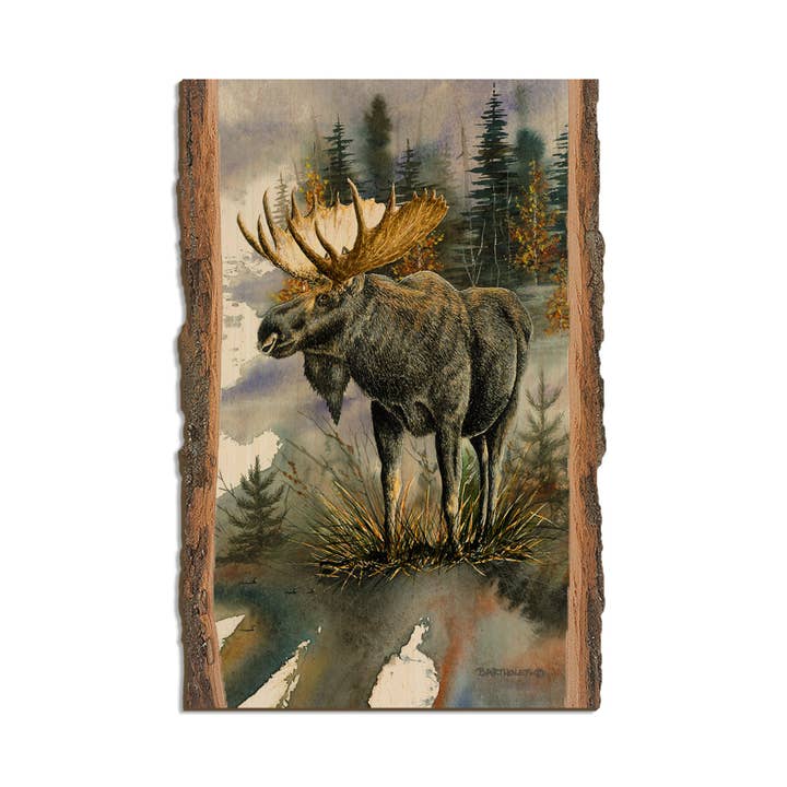 Bartholet's Woodland Majesty - Live Edge for wholesale by DaydreamHQ