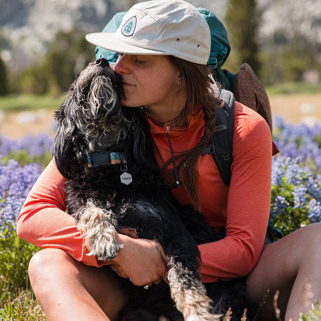 Lifekey – Großhandel Haustiermarke – Katze/Hund – Fresh Breath Fetch® Mini Smart Haustier-Identifikationsanhänger5