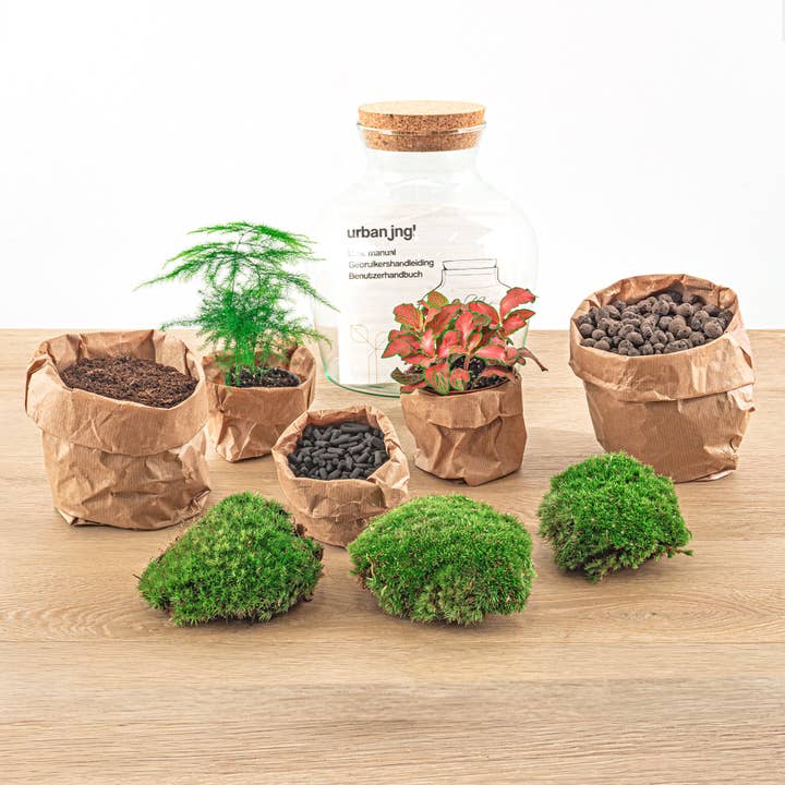 Trendhero.nl/b2b – Engroshandel DIY-hobbysæt – Terrarium DIY-sæt - Little Joe - Flaskehave - ↑ 21,5 cm