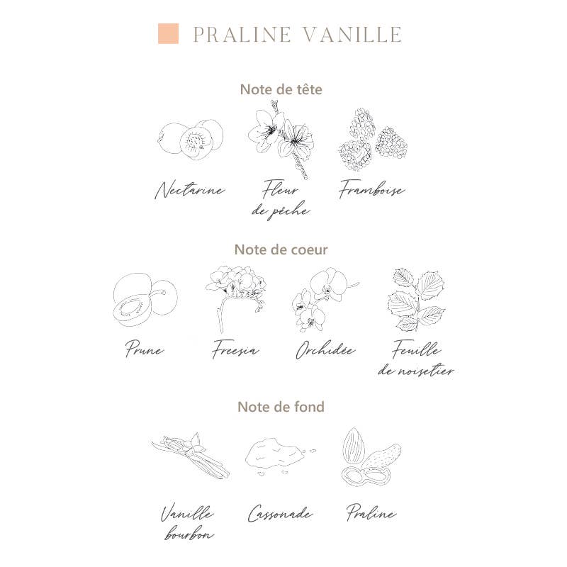 L'ATELIER C - Wholesale Perfume/Eau de Toilette - Body perfumes - x6 Perfumes from Grasse9