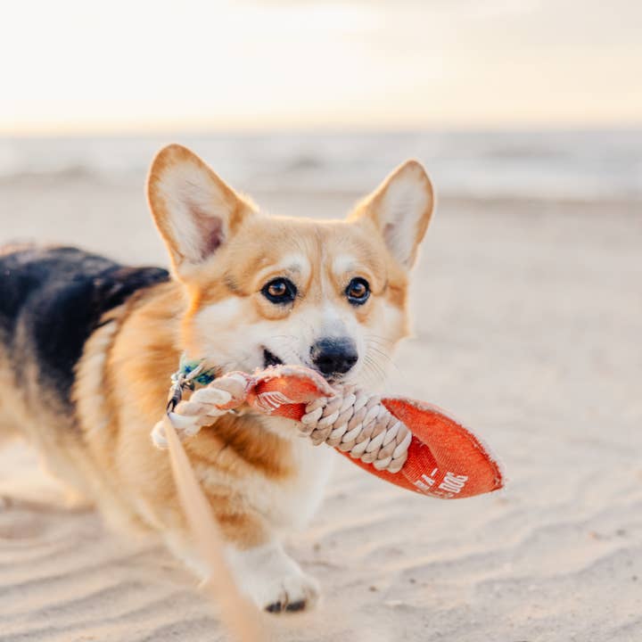 Pavilion - Wholesale Pet Rope Toy - Dog - Lake Dog - 12" Canvas Dog Toy on Rope1