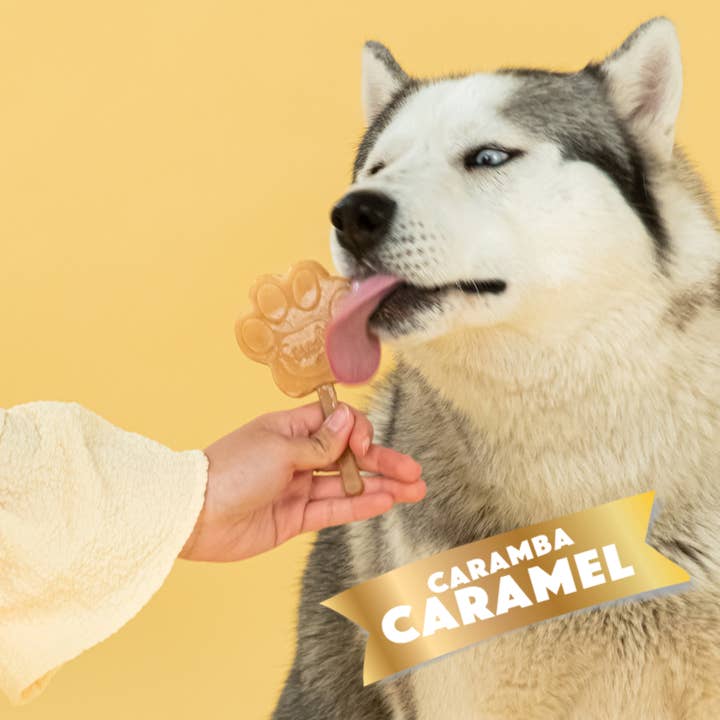 Smoofl - Wholesale Pet Treats - Dog - Creamy caramel mix for dog ice2