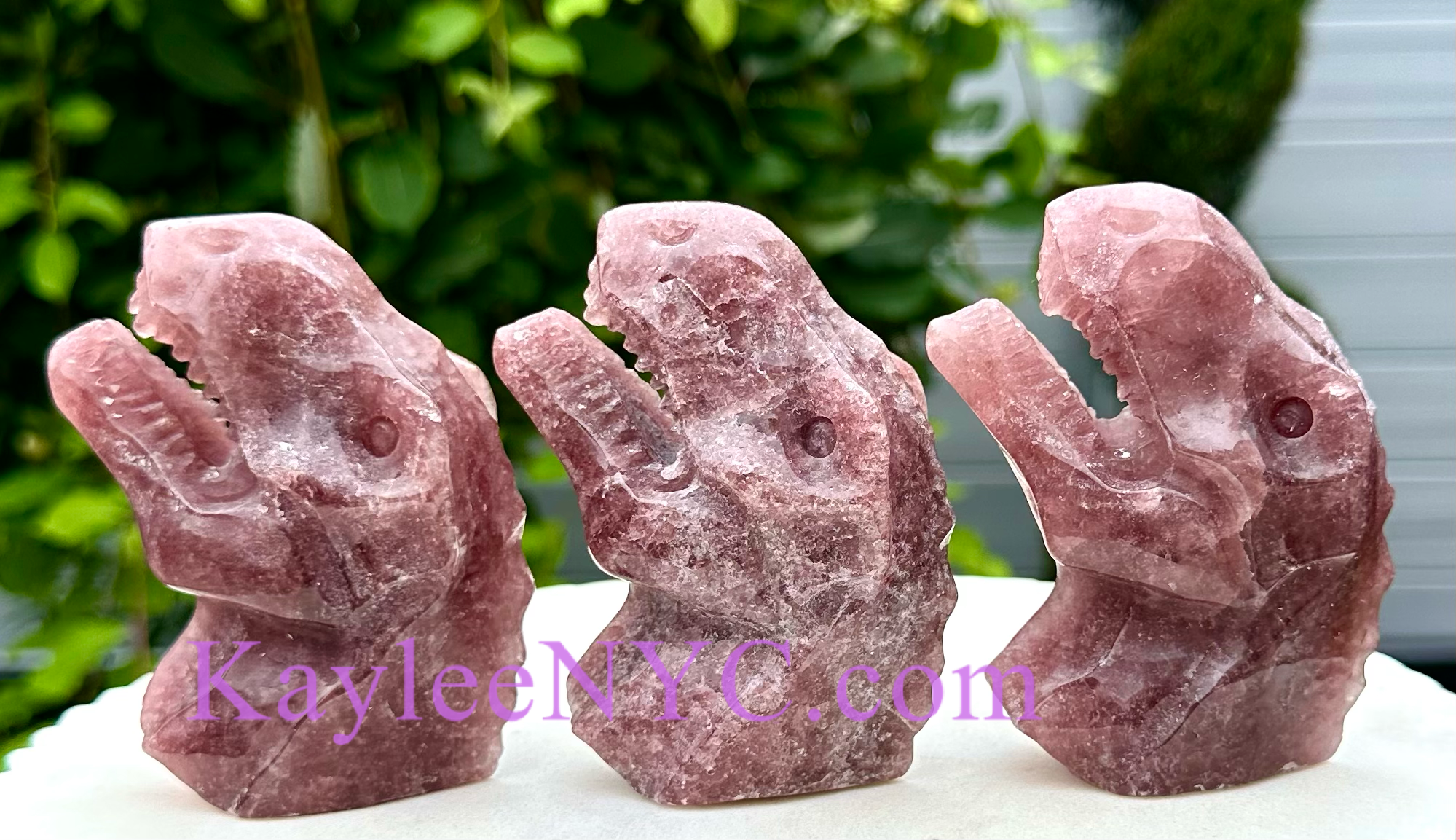 KayleeNYC - Wholesale Spiritual Stone/Crystal - Natural Strawberry Quartz Dinosaur Crystal Healing1