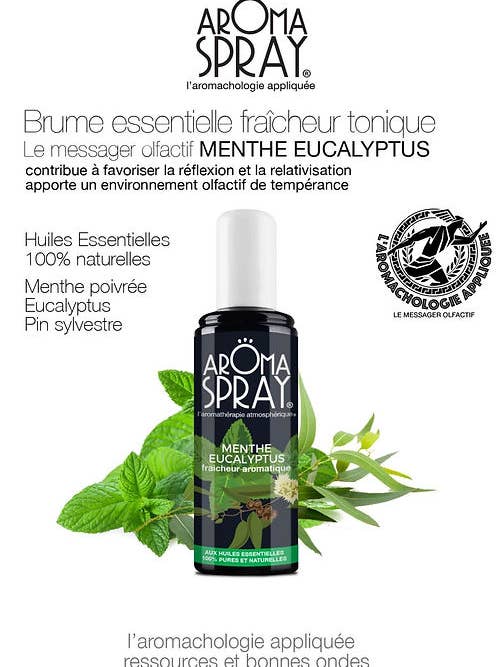 Eukalyptus-Minz-Aromaspray für den Großhandel von Saint Côme